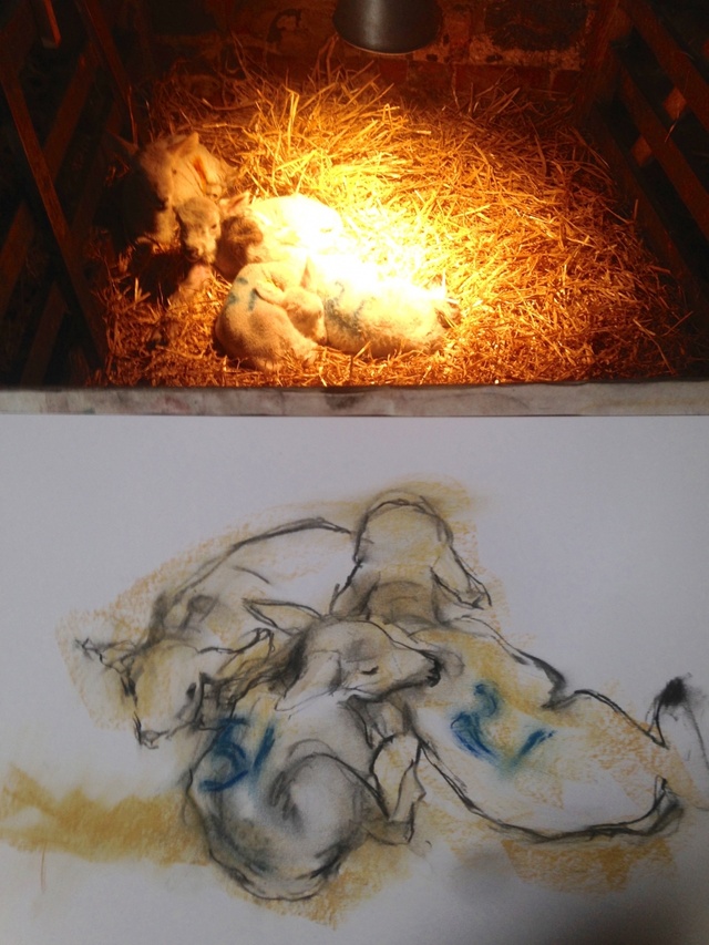 Sketching the orphans